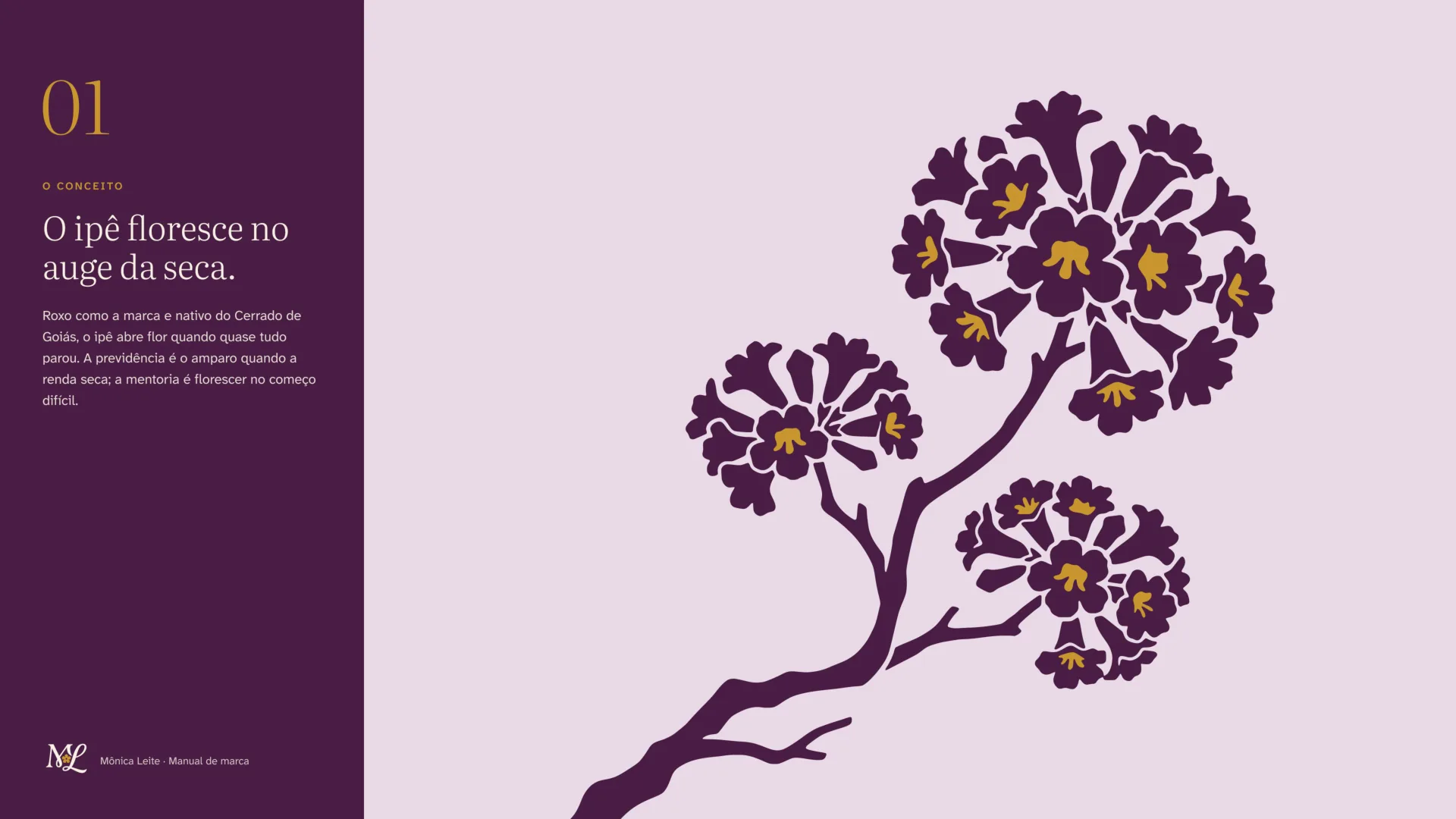 O ipê floresce no auge da seca